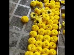 2300*1200*2000 мм 2-х стоечная сушилка для духовки с горячим воздухом, машина для сушки фруктов, чайных листьев