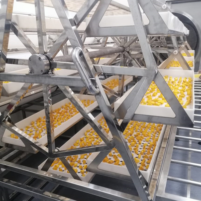 Печь обезвоживателя манго ананаса коммерчески вакуума микроволны 24KW более сухая