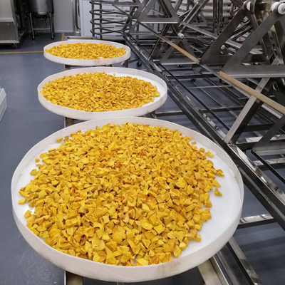 Машина для просушки еды коммерчески сушильщика вакуума микроволны овоща плода промышленная