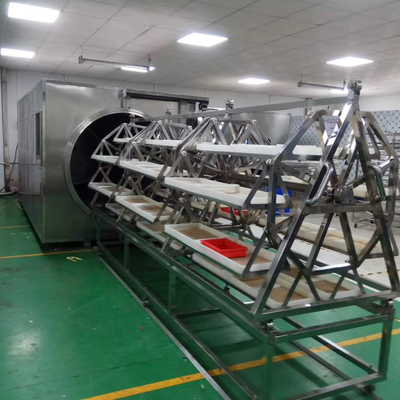 Сушильщик 9.6kg/H вакуума микроволны WKS к обезвоживателю пищевой промышленности 12kg/H