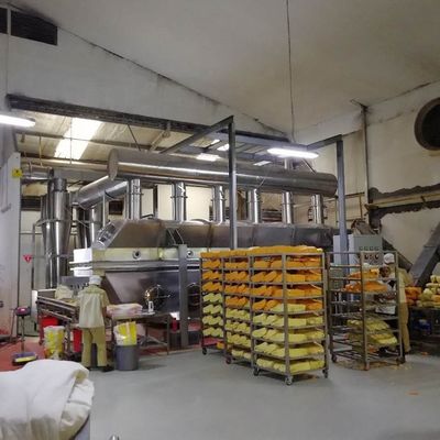 буры сульфата магния жидкой кровати 3*0.3M сушильщик Vibratory более сухой непрерывный