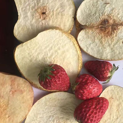 Машина для просушки картофельных чипсов PLC сушильщика замораживания вакуума джекфрута клубники йогурта