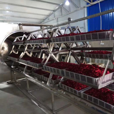 роторная микроволновая печь вакуума 48kw